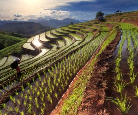 Photographer with terraced fields Stock Photo