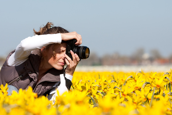 Photographers shooting flowers Stock Photo