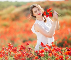 Close-up micro-red hibiscus flower HD picture 01 free download