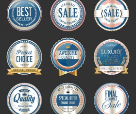 Premium and luxury silver and blue retro badges and labels vector