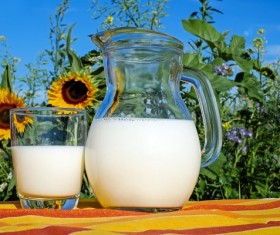 Pure milk on the table Stock Photo