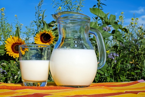 Pure milk on the table Stock Photo