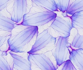 Purple watercolor flower petal pattern vector 02