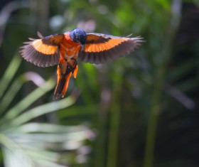 River hut oil painting Stock Photo