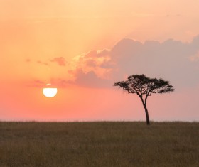 Rising from the prairie sun Stock Photo