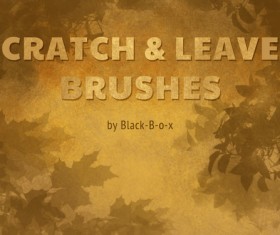 Scratch and Leaves Photoshop Brushes