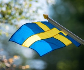 Snow Nordic countries Sweden Stock Photo 11