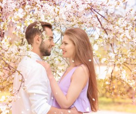 Staring at each other HD picture