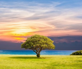 Summer natural scenery Stock Photo