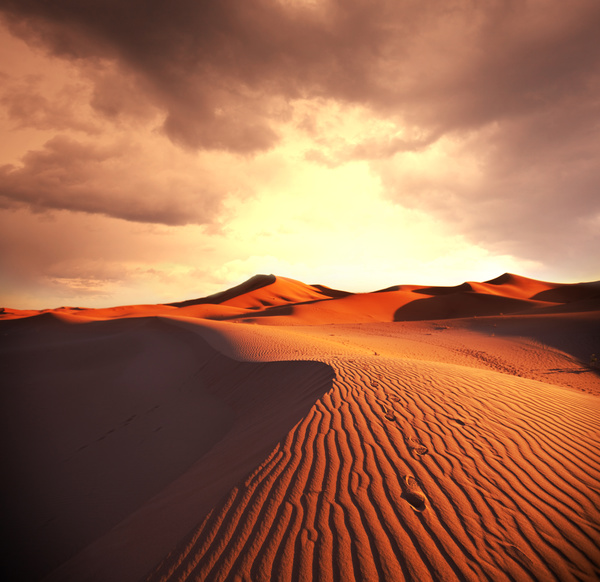 Sunrise beautiful desert landscape Stock Photo 01