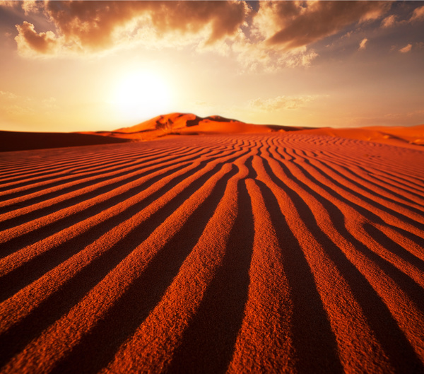 Sunrise beautiful desert landscape Stock Photo 02