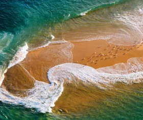 The birds on the island Stock Photo