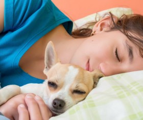 The little girl who hugs the puppy to sleep Stock Photo