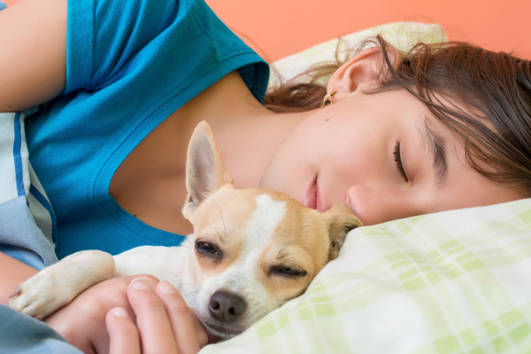 The little girl who hugs the puppy to sleep Stock Photo