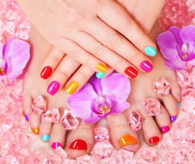 Various styles of nail Stock Photo 01