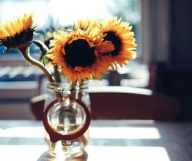 Vase of sunflowers Stock Photo