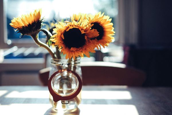 Vase of sunflowers Stock Photo