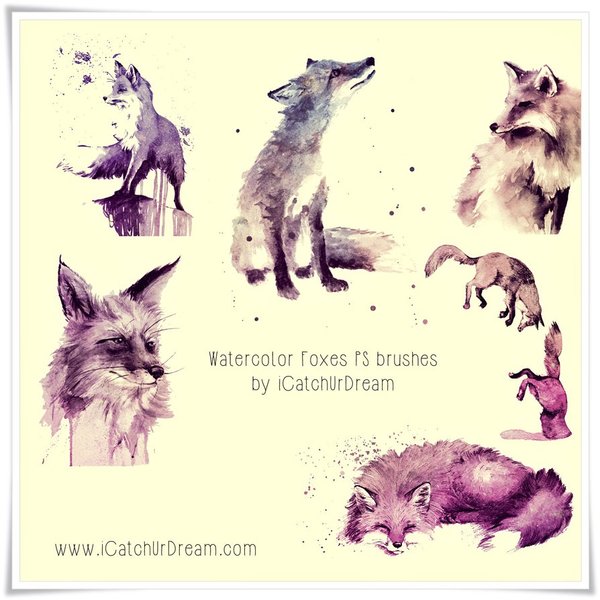 Watercolor Foxes Photoshop Brushes