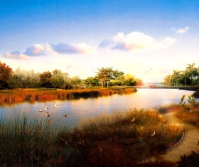 Wetland park dusk beauty HD picture