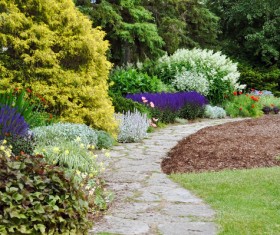 Wild plants on both sides of the road Stock Photo