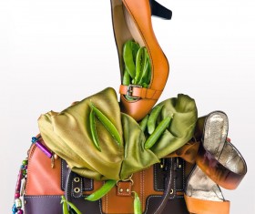 Women fashion bags and shoes Stock Photo 01