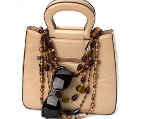 Women fashion bags and shoes Stock Photo 07