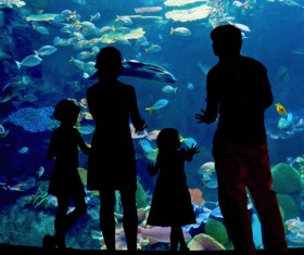 aquarium Stock Photo 01