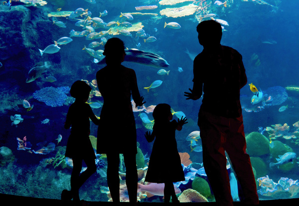 aquarium Stock Photo 01