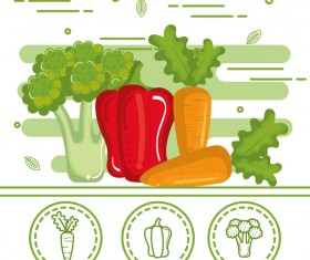 healthy vegetables vector 01