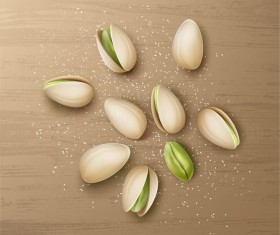 pistachio realistic vector