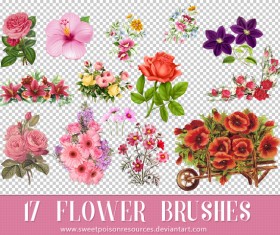 17 Flower  Photoshop Brush