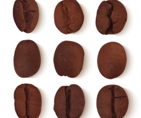 6 coffee beans vector illustration
