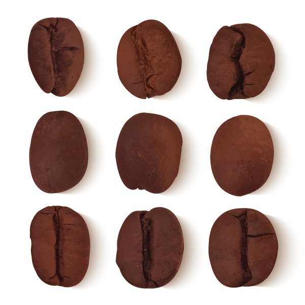 6 coffee beans vector illustration