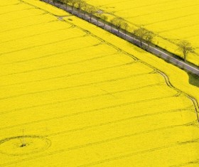 Autumn idyllic scenery Stock Photo