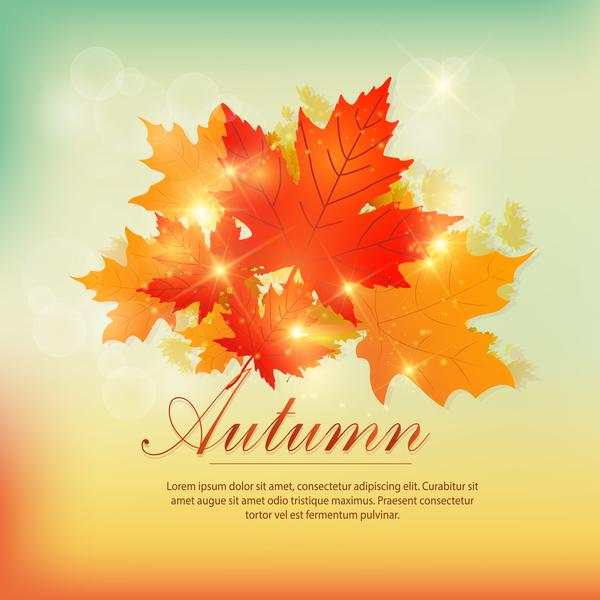 Autumn leaves design backgrounds vector 02