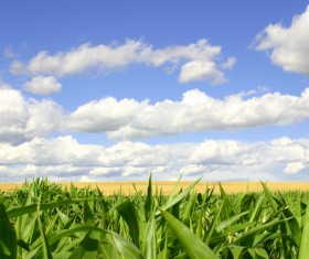 Beautiful and charming natural scenery Stock Photo 03