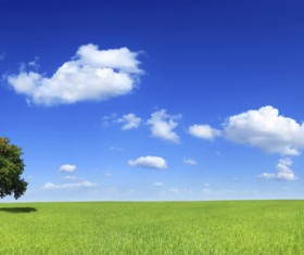 Beautiful and charming natural scenery Stock Photo 04