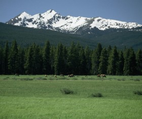 Beautiful and charming natural scenery Stock Photo 05