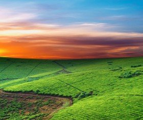 Beautiful and charming natural scenery Stock Photo 09