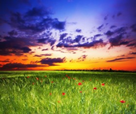 Beautiful and charming natural scenery Stock Photo 15