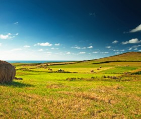 Beautiful and charming natural scenery Stock Photo 17