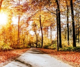 Beautiful autumn scenery Stock Photo 03