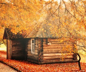 Beautiful autumn scenery Stock Photo 04