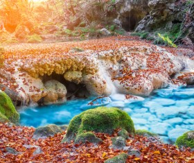 Beautiful autumn scenery Stock Photo 05