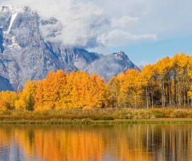 Beautiful autumn scenery Stock Photo 07