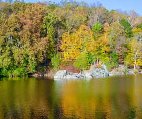 Beautiful autumn scenery Stock Photo 09