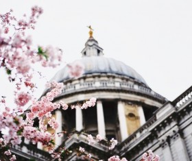Blooming flowers outside of classical church Stock Photo