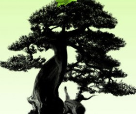 Bonsai Trees Photoshop Brush