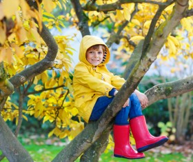 Children sitting in a tree Stock Photo