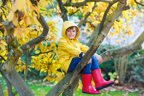 Children sitting in a tree Stock Photo